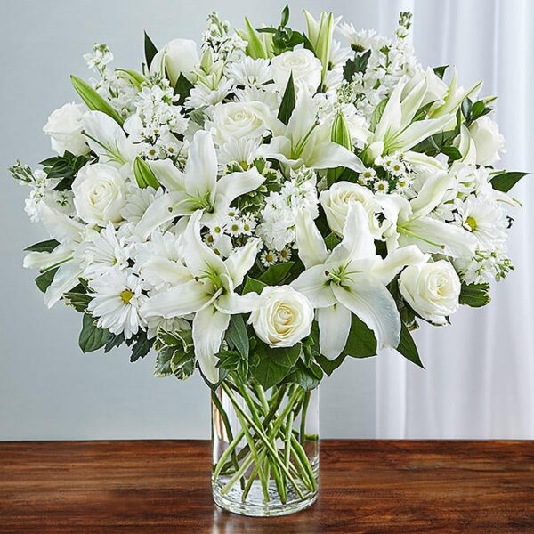 Sincerest Sorrow All White