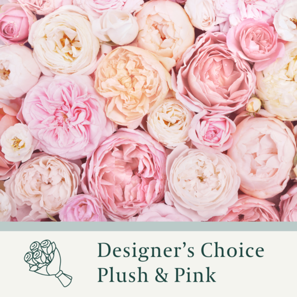 Designer Choice - Plush & Pink