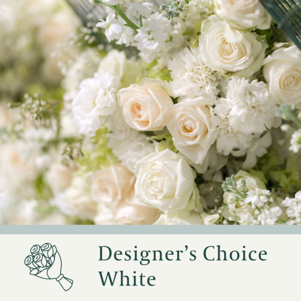 Designer Choice - White