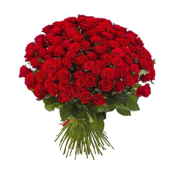 Just Red Roses - 50/75/100