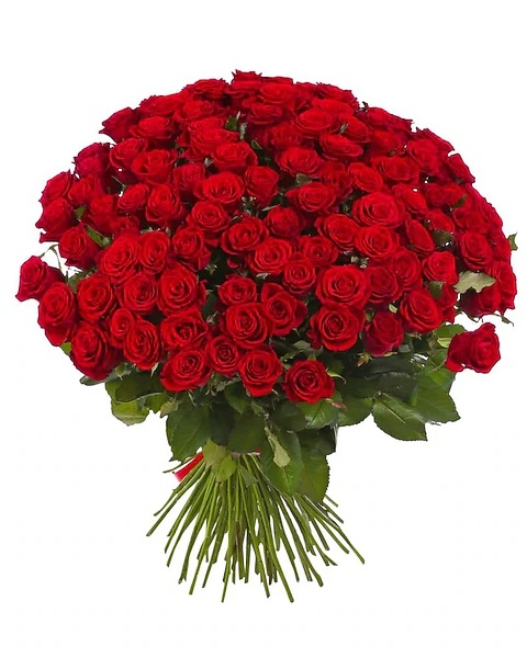 Just Red Roses - 50/75/100