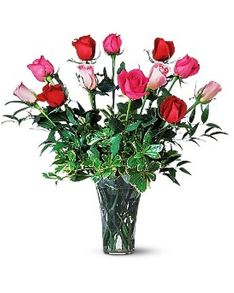 A Dozen Multi-Colored Roses