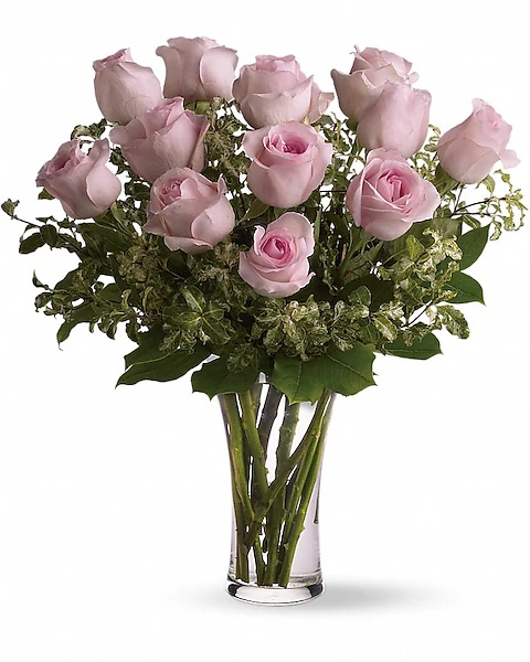 A Dozen Pink Roses