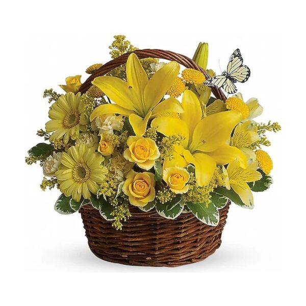 Basket Full of Wishes