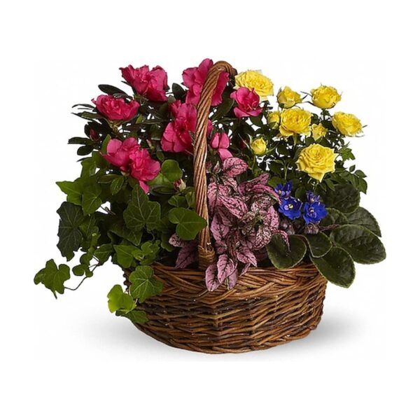 Blooming Garden Basket
