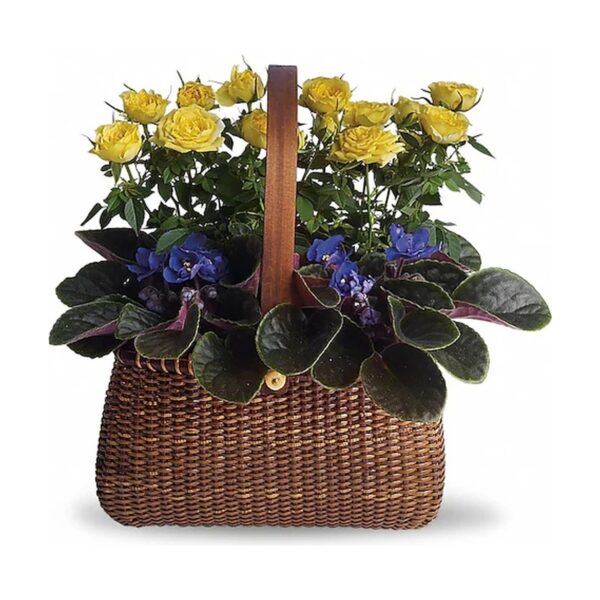 Garden To Go Basket
