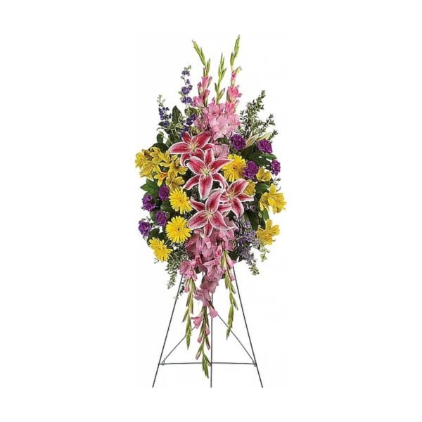 Rainbow Of Remembrance Spray