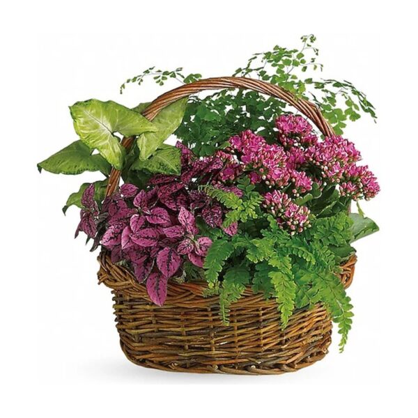 Secret Garden Basket