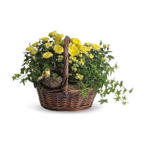 Yellow Trio Basket