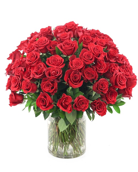 "RIZZ" Rose Arrangement - Vase