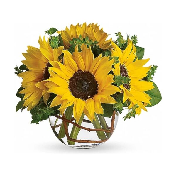 Sunny Sunflowers