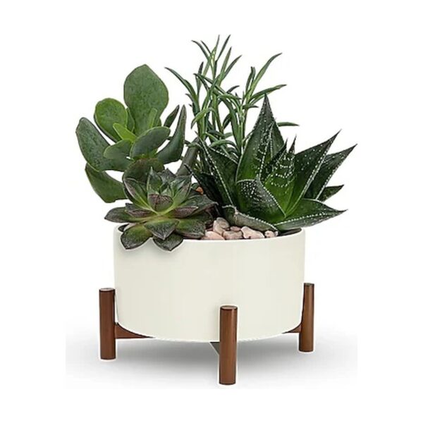 Teleflora's Mid-Century Garden